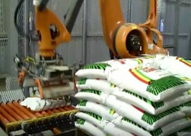 중국 180 KG 탑재량 로봇 팰릿으로 운반 체계/로봇식 Palletiser 동의 범위 2800mm-3150mm 공장